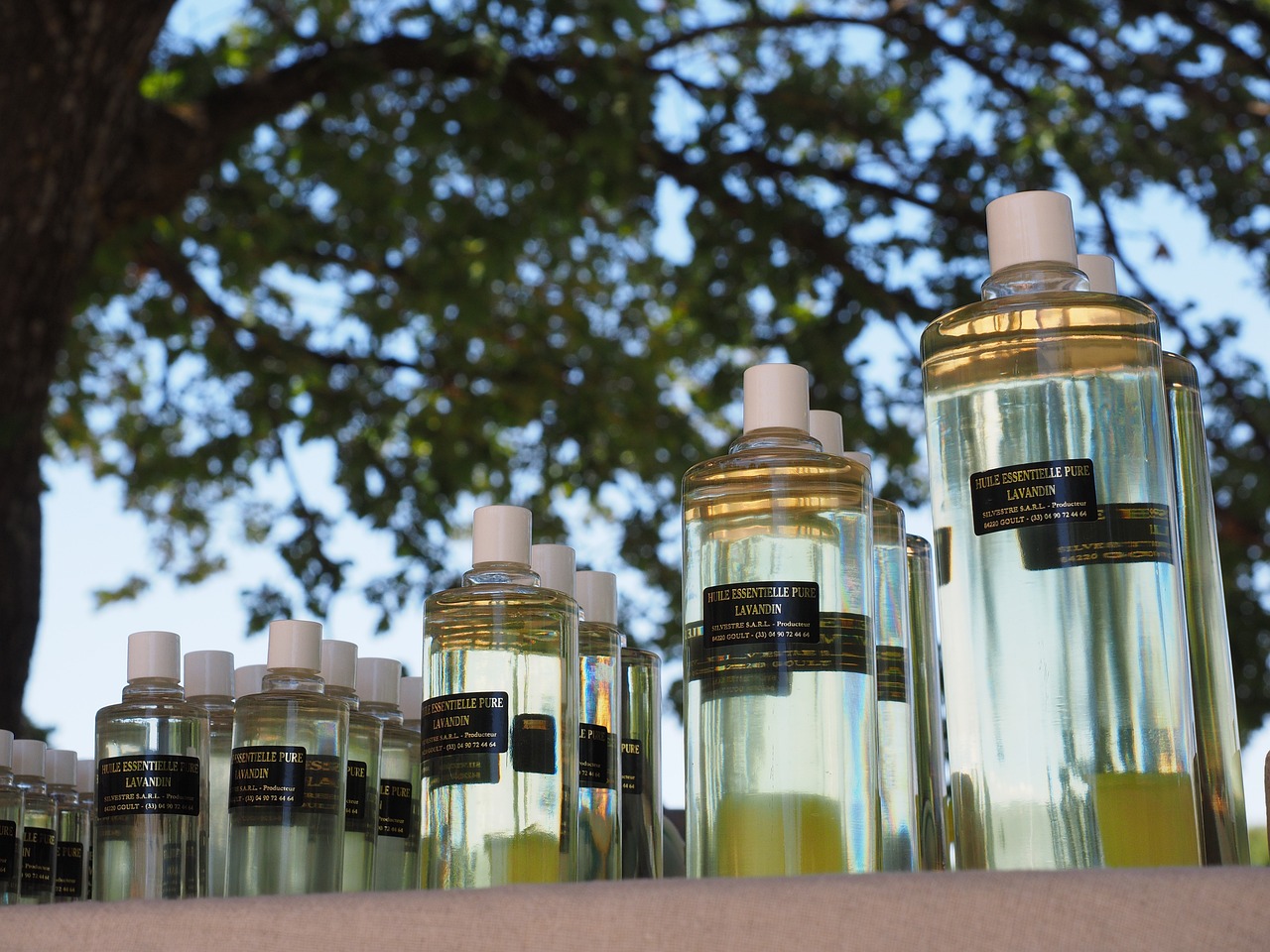 Dlaczego warto kupić perfumy w drogerii online?